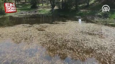 'Sülüklü Göl' keşfedilmeyi bekliyor