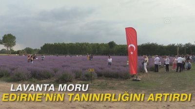 Lavanta moru Edirne'nin tanınırlığını artırdı