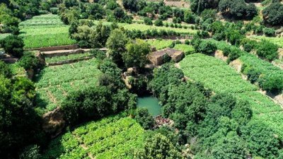 Mardin'in saklı güzelliği Ğurs Vadisi ilgi çekiyor