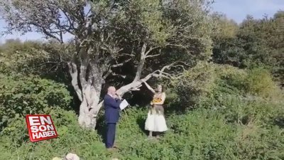 İngiltere'de bir kadın, ağaçla evlendi