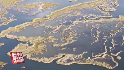 Turistlerin gözdesi: 'Labirent görünümlü sazlıklar'