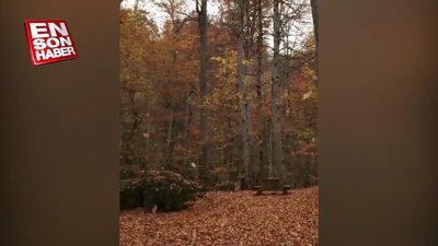 Bolu Yedigöller'de harika sonbahar manzarası