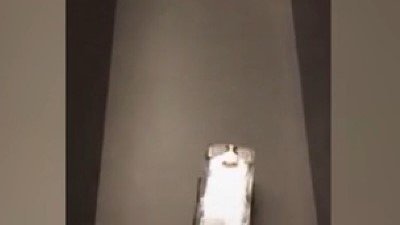 Bilim insanları farelere araba sürmeyi öğretti