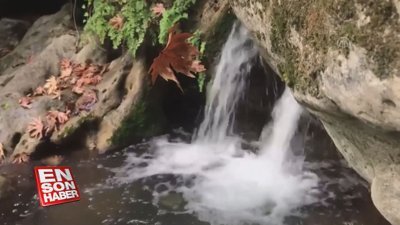 Sonbaharın renk cümbüşü