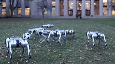 ABD'de futbol oynayan sevimli robotlar
