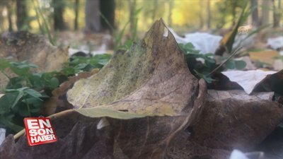 'Hazan' rengine bürünen Edirne ziyaretçilerini büyülüyor