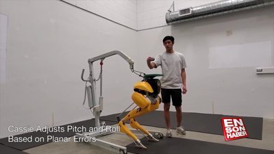 Top sektiren devekuşu robotu