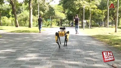 Singapur'da robotlar sosyal mesafeyi denetliyor