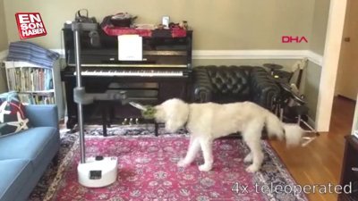 18 bin dolarlık ev işi robotu: Stretch