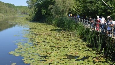 Acarlar Longozu, ziyaretçilerin ilgi odağı oldu