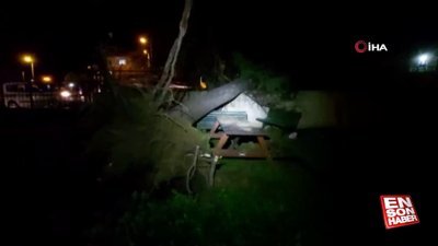 Silivri’de fırtına ağacı kökünden söktü