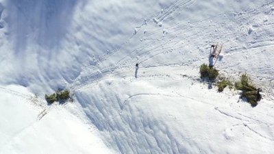 Bitlis'te besiciler kızakla taşıdıkları ağaç dallarıyla hayvanlarını besliyor