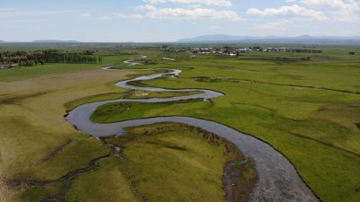 Yeşiller arasında süzülerek coşkuyla akan Arpaçay Menderesleri