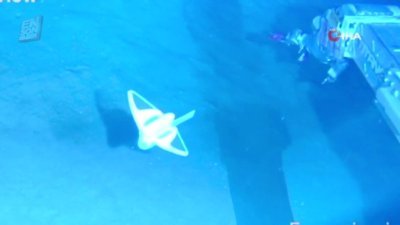 Denizleri gözlemlemek için geliştirilen robot balık