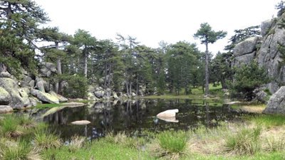 Eğrigöz Dağı'nın zirvesindeki doğal gölet