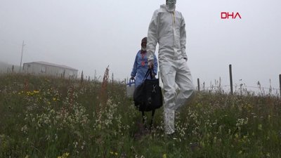 Karadeniz yaylalarında aşı mesaisi