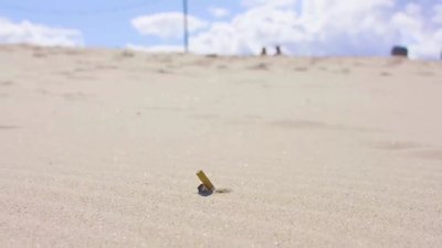 Sahildeki izmaritleri toplayan robot: BeachBot