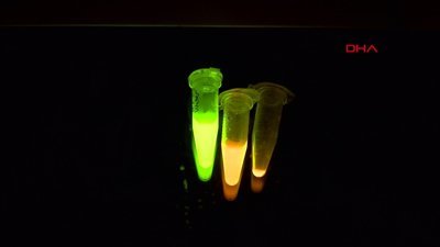 Ankara'da koronavirüs için geliştirilen burun spreyi için geri sayım başladı