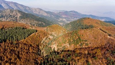 Amanos Dağları'nda sonbahar renkleri