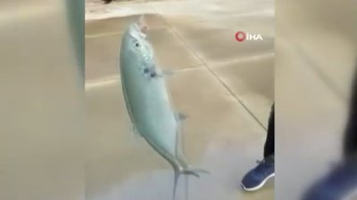 Antalya’da genç kızın Tral balığı sevinci