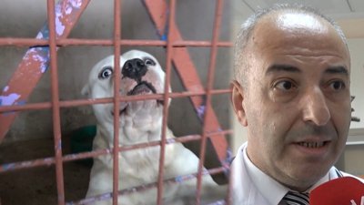 Mustafa Sinan Aktaş: Köpek saldırdığında kaçmayın