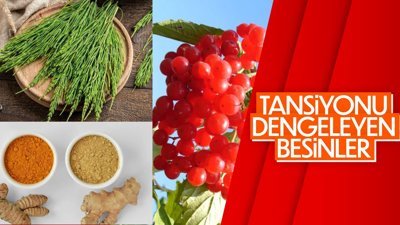 Hangi besinler tansiyonu dengeler?