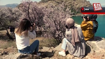 Akdamar Adası bahar çiçekleriyle renklendi