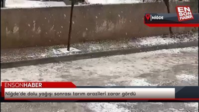 Niğde'de dolu yağışı sonrası tarım arazileri zarar gördü