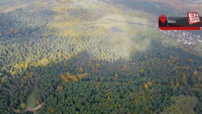 Gölcük Tabiat Parkı'nda sonbahar şöleni
