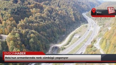 Bolu'nun ormanlarında renk cümbüşü yaşanıyor