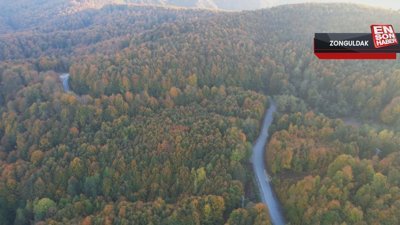 Zonguldak'taki Kent Ormanı görenleri büyülüyor