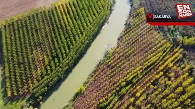 Melen Çayı çevresindeki ağaçlarla görenleri büyülüyor