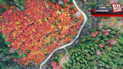 Gümüşhane’de Örümcek Ormanları’ndan sonbahar manzaraları