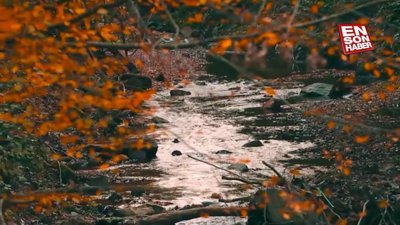 Çam Dağı'ndan sonbahar manzaraları