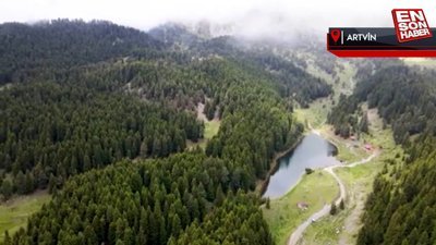 Borçka ve Şavşat Karagölleri bu yıl 140 bin kişiyi ağırladı