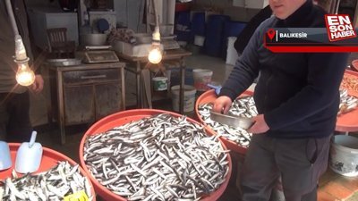 Marmara'da hamsi avcılığının durdurulması sektörde olumlu karşılandı