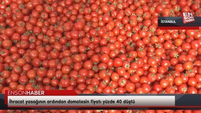 İhracat yasağının ardından domatesin fiyatı yüzde 40 düştü