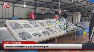 Zonguldaklı balıkçıların yüzü palamutla güldü
