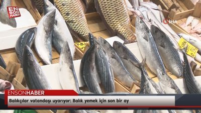 Balıkçılar vatandaşı uyarıyor: Balık yemek için son bir ay