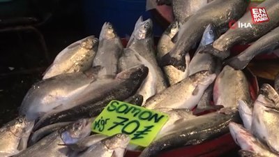 Denizlerde av yasağı başladı