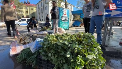İbn-i Sina'nın önerisi 'kuzu kulağı' her derde deva