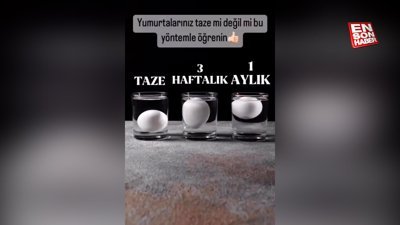 Yumurtalarınız taze mi değil mi bu yöntemle öğrenin
