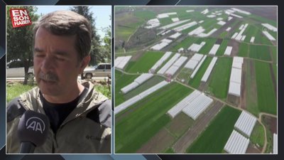 Kahramanmaraşlı depremzede çiftçiler hasat için serada