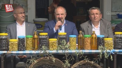 Gemlik zeytinine Avrupa Birliği tescili geliyor