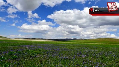 Van, ilkbaharla birlikte canlandı
