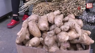 Yaz nezlesine zencefil