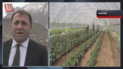 Irak sınırındaki Derecik, sera yatırımlarıyla bölgenin üretim üssü oluyor