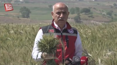 Vahit Kirişci: Buğdayda beklenen rekolte Türkiye'nin ihtiyacı karşılıyor