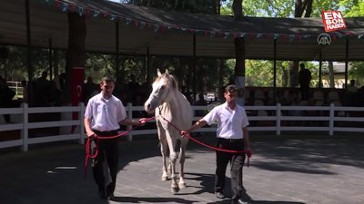 TİGEM, 46 tay satarak 10 milyon 480 bin lira gelir elde etti