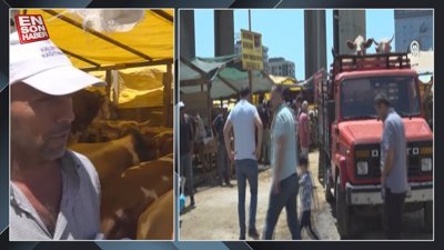 İstanbul'da kurban pazarlarındaki üreticiler, satışlardan memnun